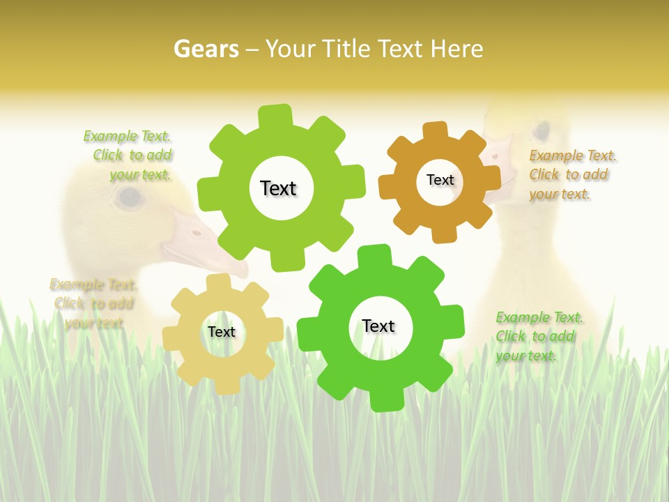 Blurred Purity Tranquil PowerPoint Template