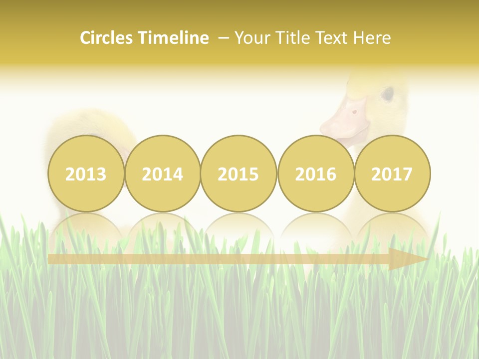 Blurred Purity Tranquil PowerPoint Template