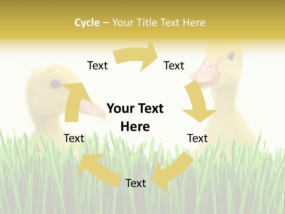 Blurred Purity Tranquil PowerPoint Template