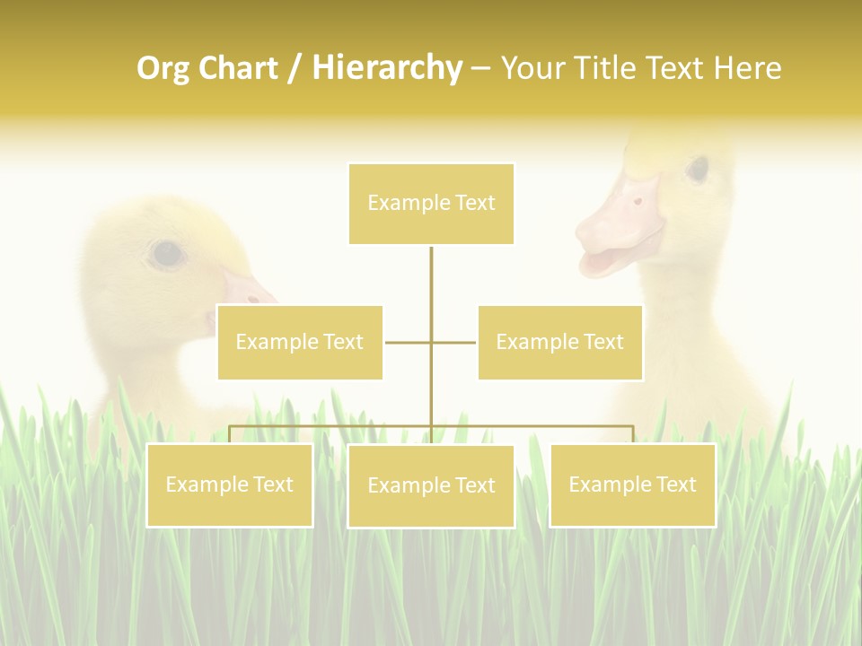 Blurred Purity Tranquil PowerPoint Template