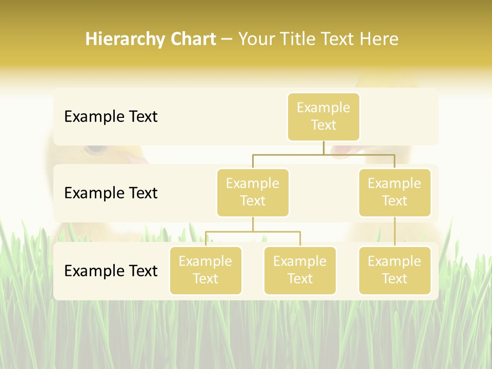 Blurred Purity Tranquil PowerPoint Template