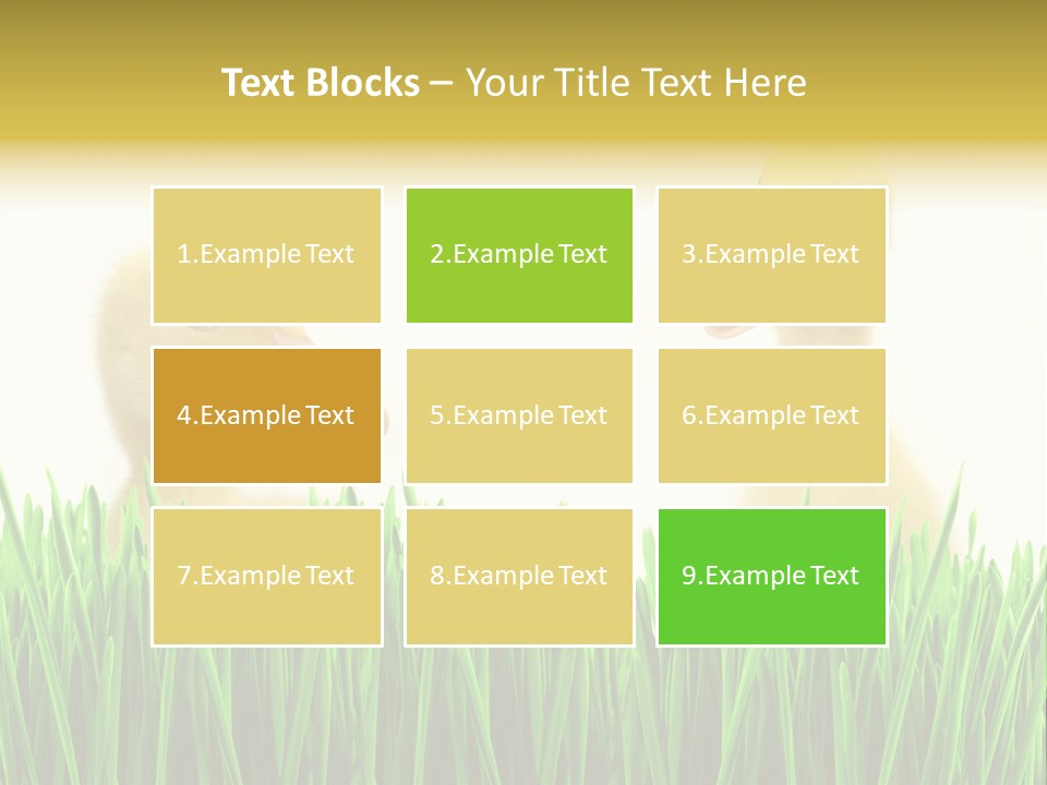 Blurred Purity Tranquil PowerPoint Template