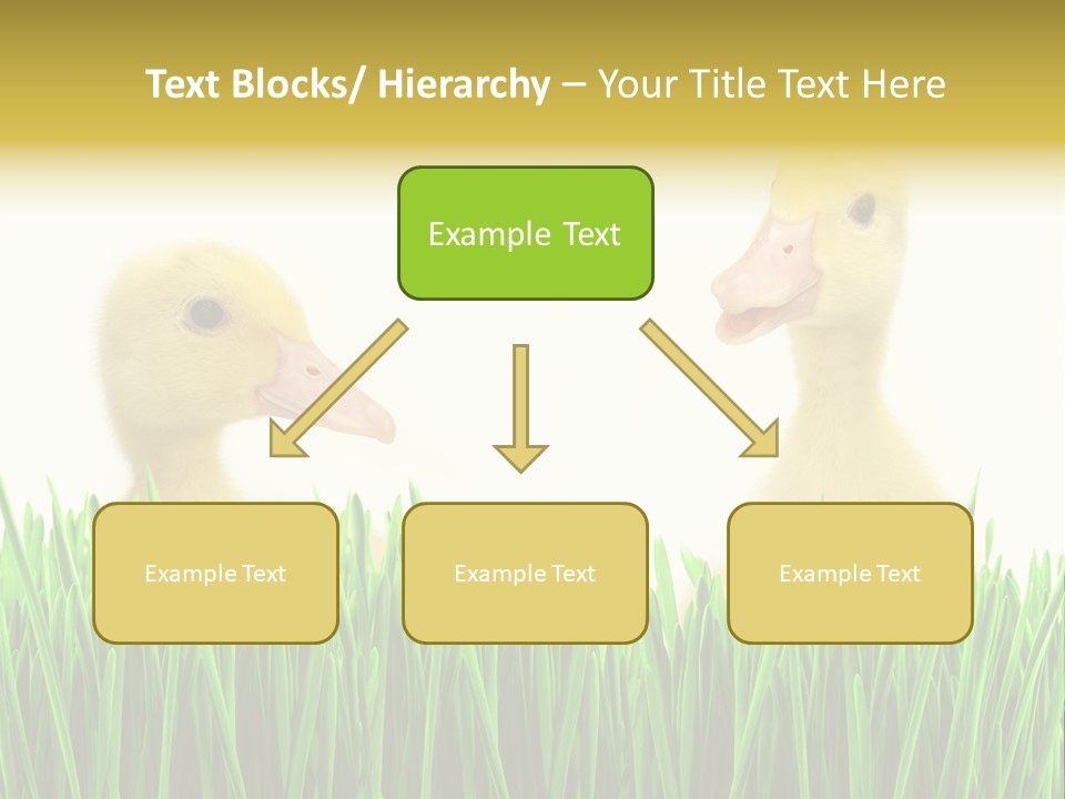 Blurred Purity Tranquil PowerPoint Template