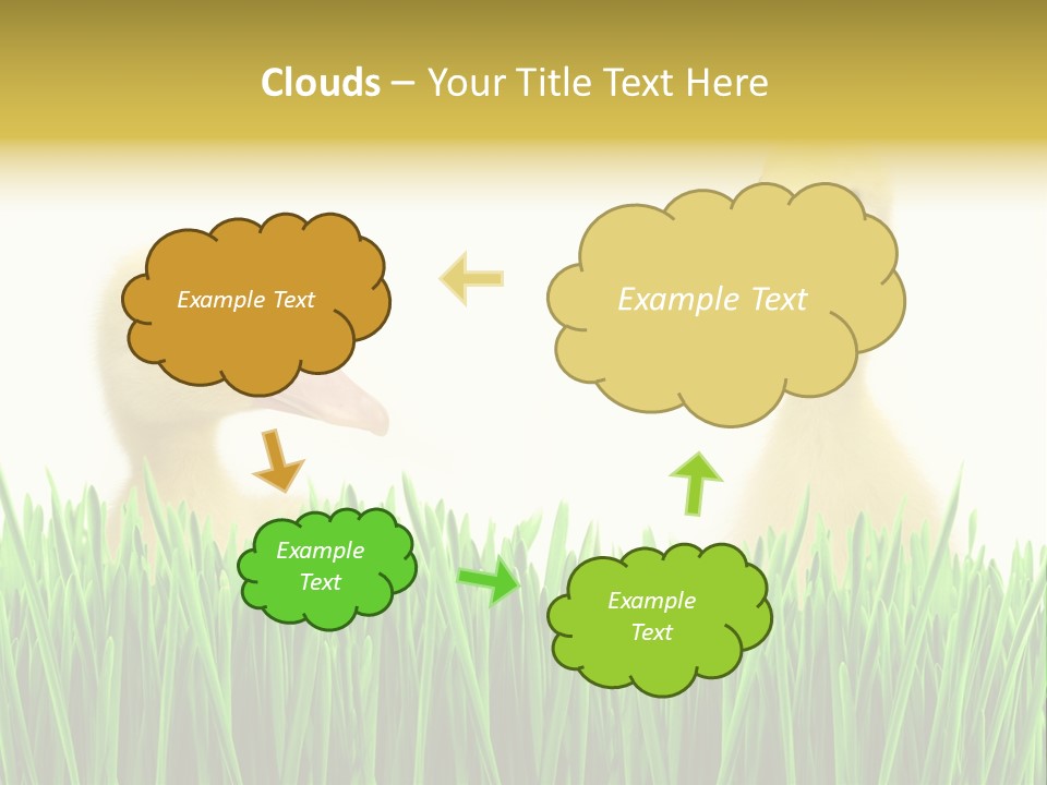 Blurred Purity Tranquil PowerPoint Template