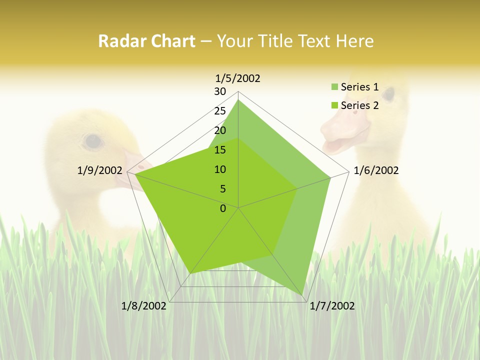 Blurred Purity Tranquil PowerPoint Template