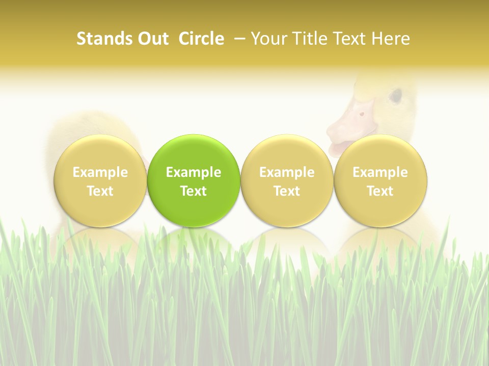 Blurred Purity Tranquil PowerPoint Template