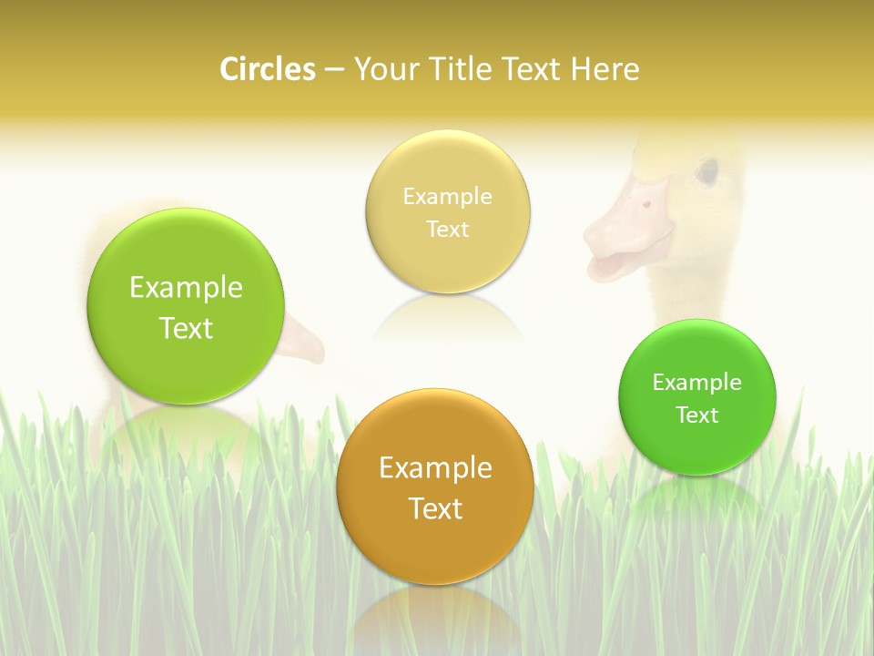 Blurred Purity Tranquil PowerPoint Template