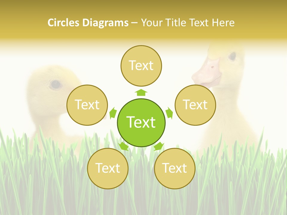 Blurred Purity Tranquil PowerPoint Template