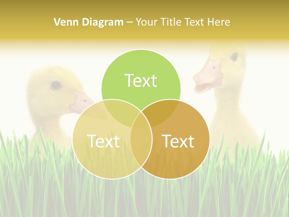 Blurred Purity Tranquil PowerPoint Template