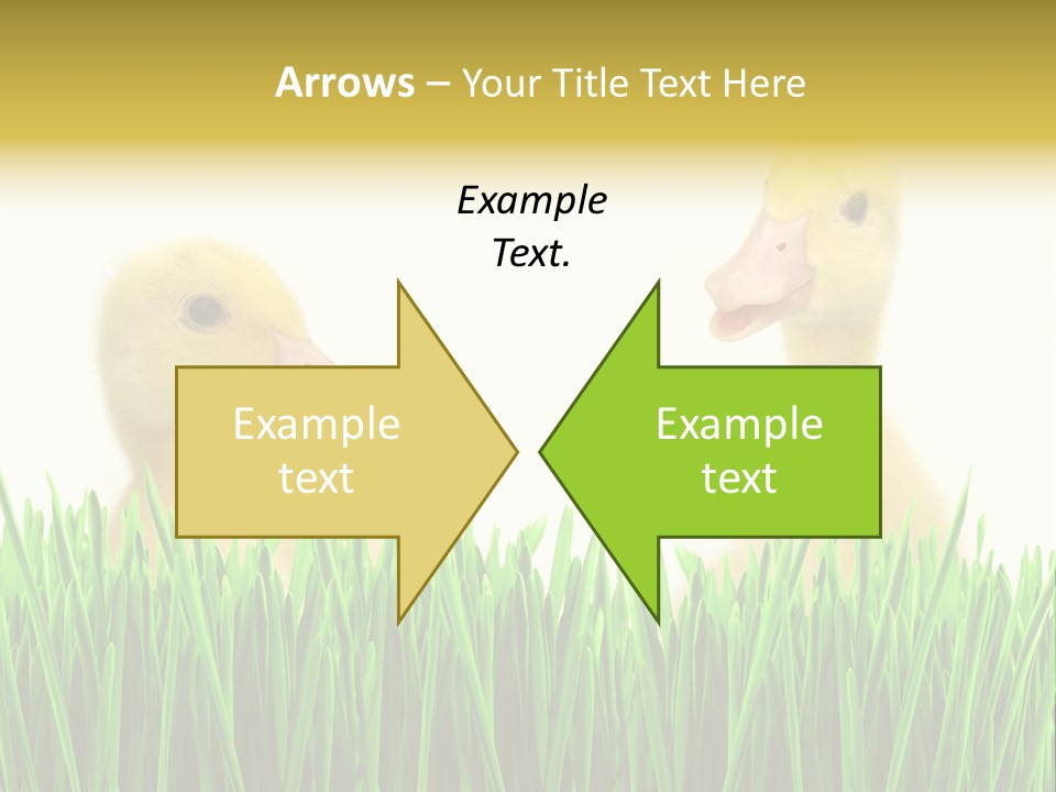 Blurred Purity Tranquil PowerPoint Template
