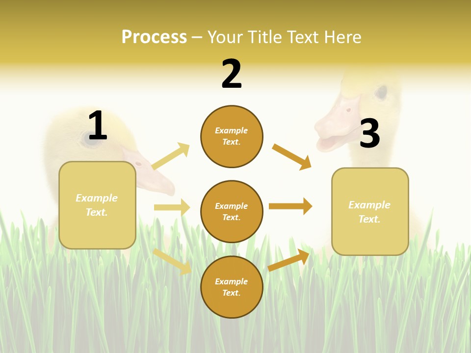 Blurred Purity Tranquil PowerPoint Template