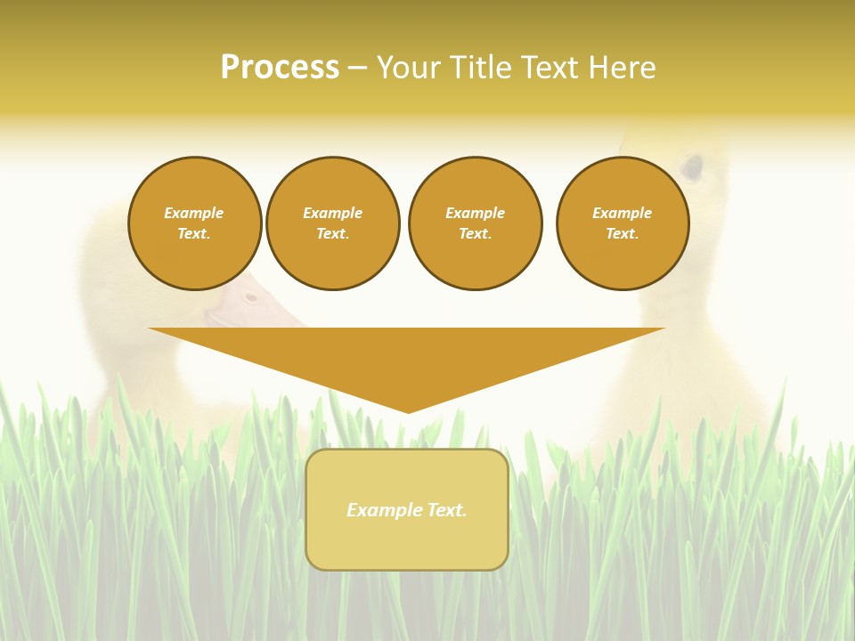 Blurred Purity Tranquil PowerPoint Template