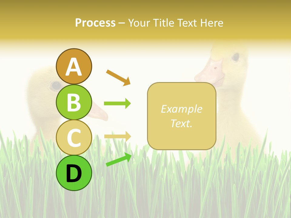 Blurred Purity Tranquil PowerPoint Template