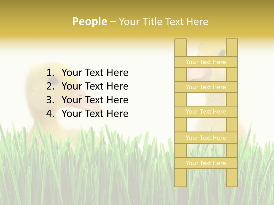 Blurred Purity Tranquil PowerPoint Template