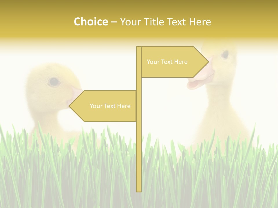 Blurred Purity Tranquil PowerPoint Template