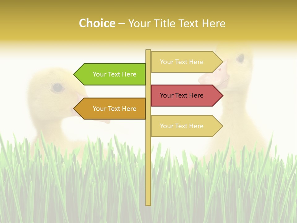 Blurred Purity Tranquil PowerPoint Template