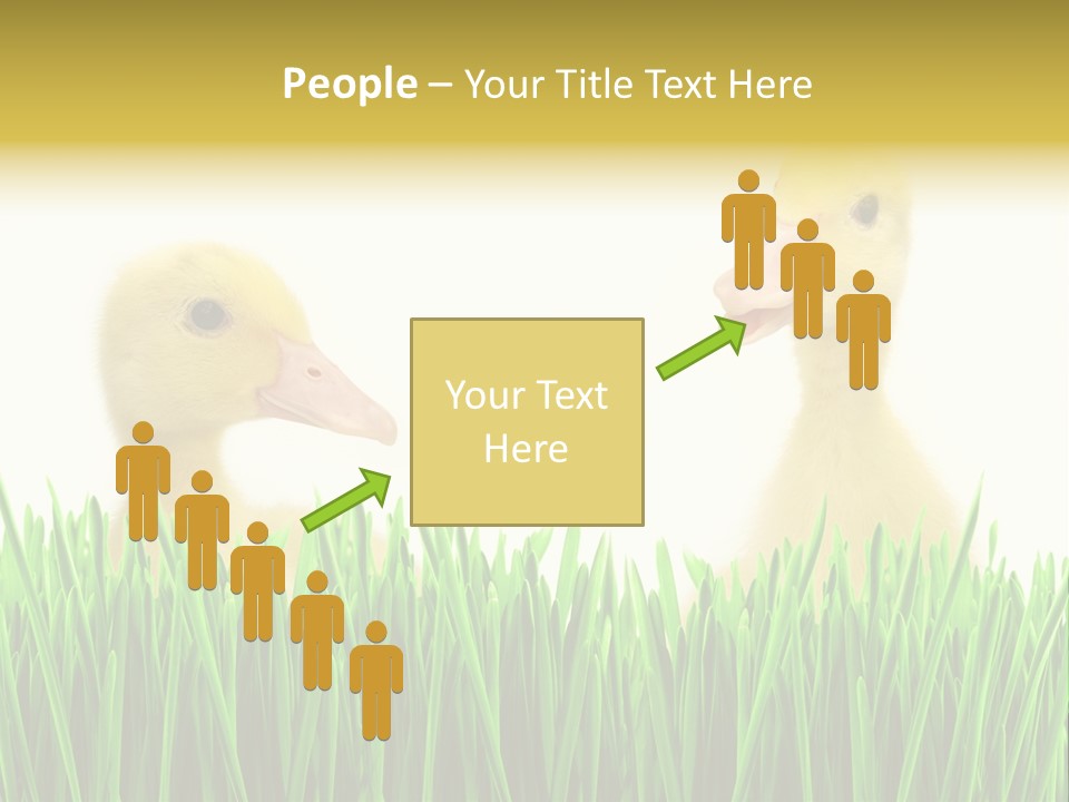 Blurred Purity Tranquil PowerPoint Template