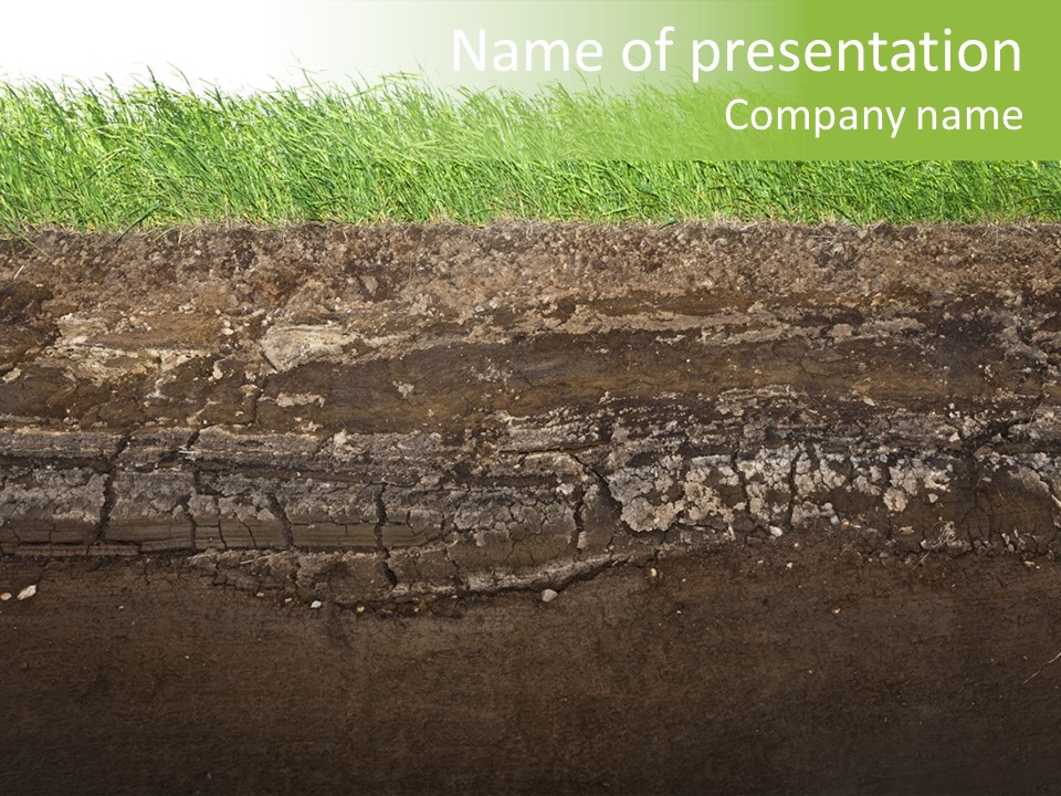 Below Brown Bisected PowerPoint Template