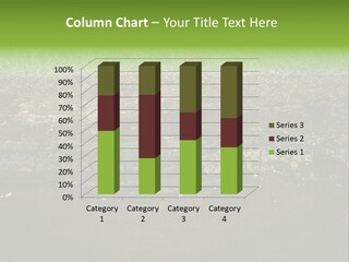 Below Brown Bisected PowerPoint Template