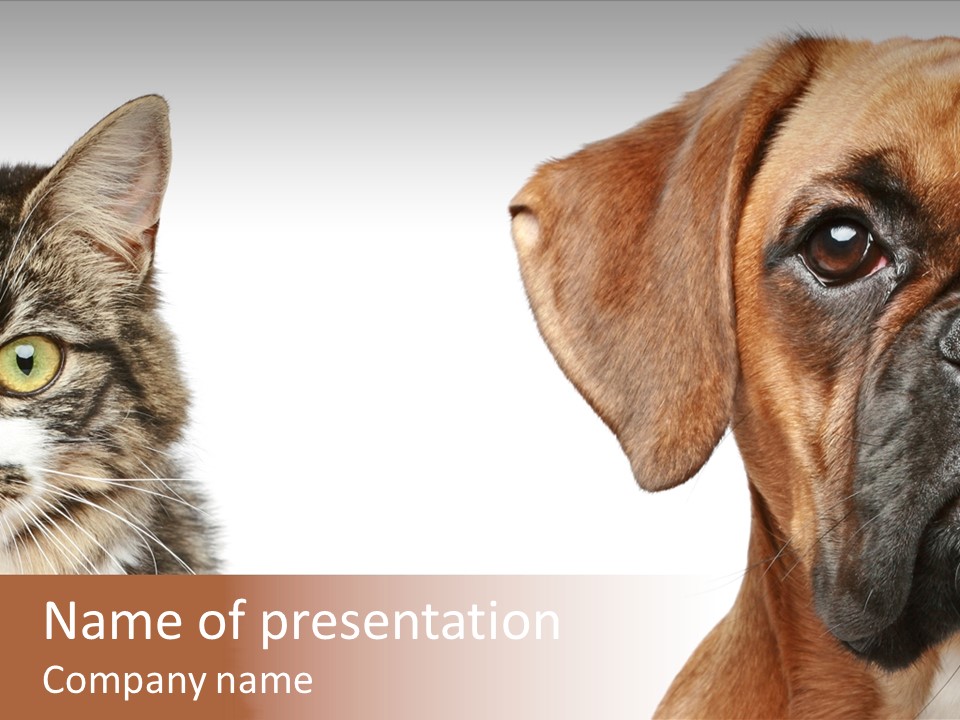 Playful Friend Funny PowerPoint Template