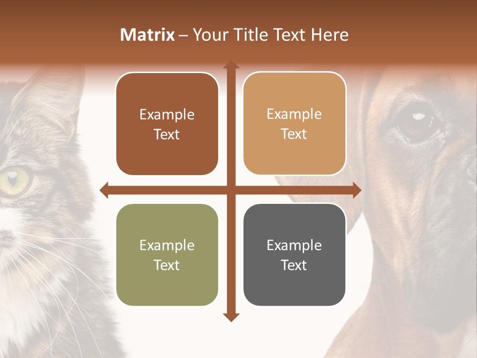 Playful Friend Funny PowerPoint Template