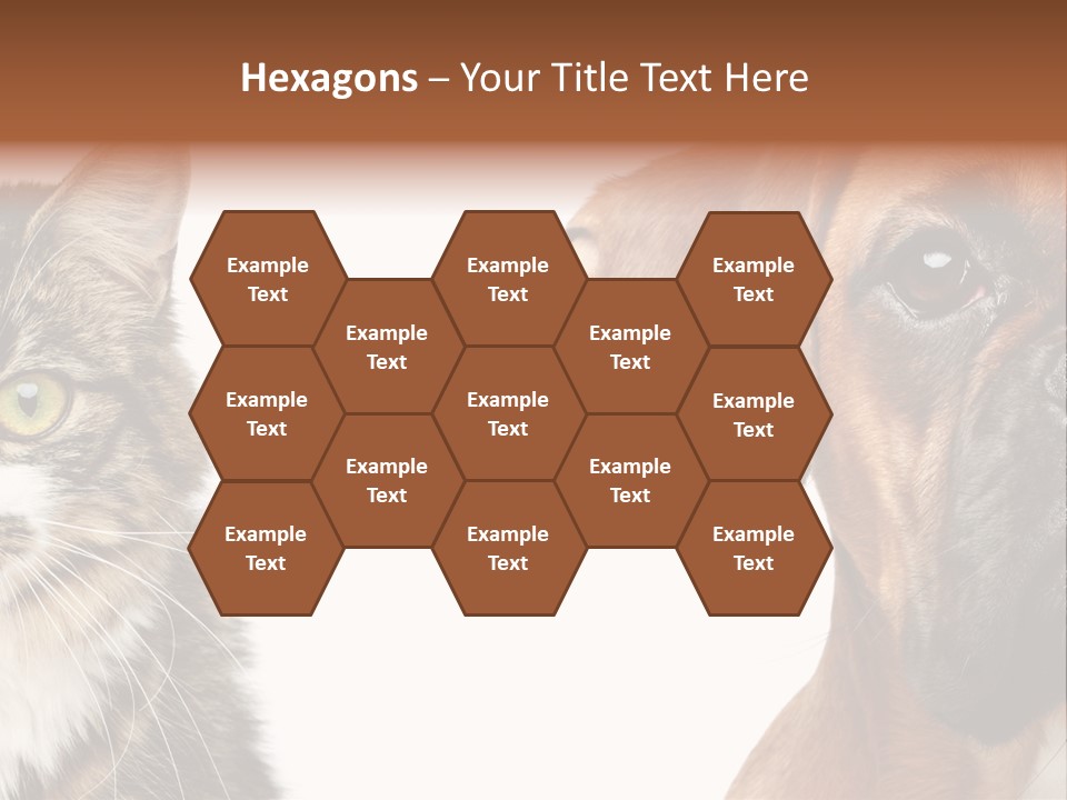 Playful Friend Funny PowerPoint Template