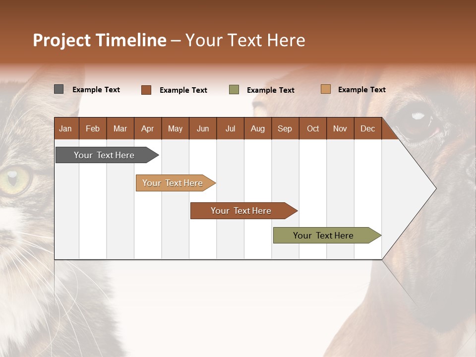 Playful Friend Funny PowerPoint Template