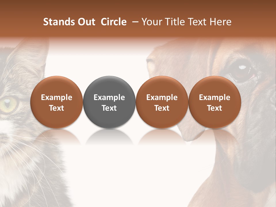 Playful Friend Funny PowerPoint Template