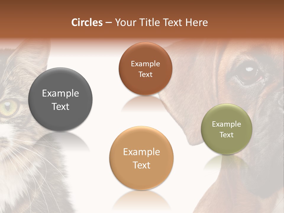 Playful Friend Funny PowerPoint Template