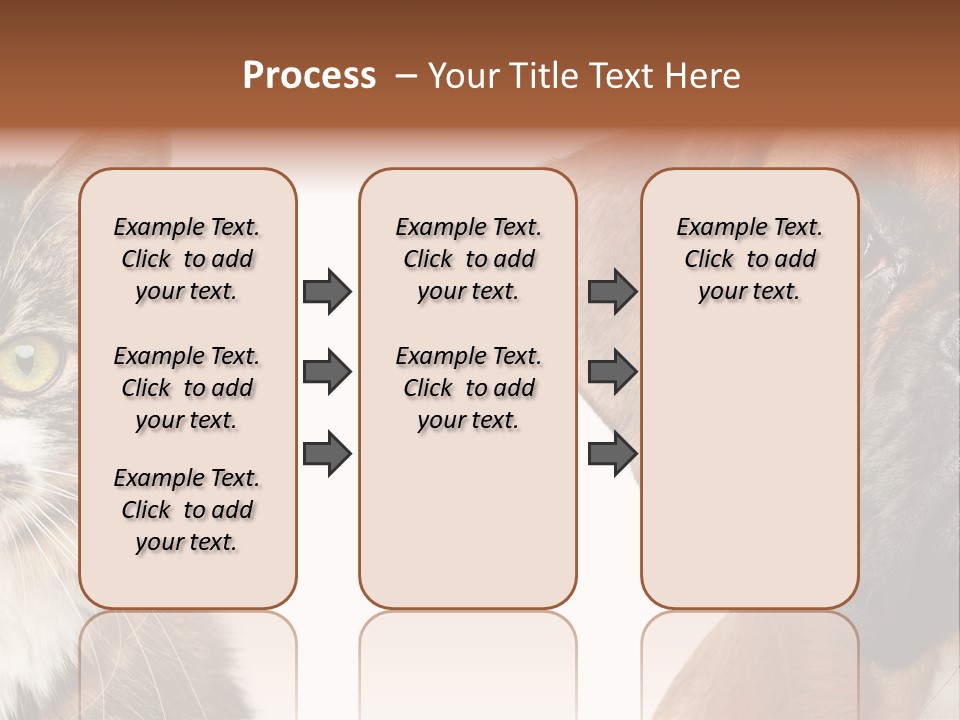 Playful Friend Funny PowerPoint Template