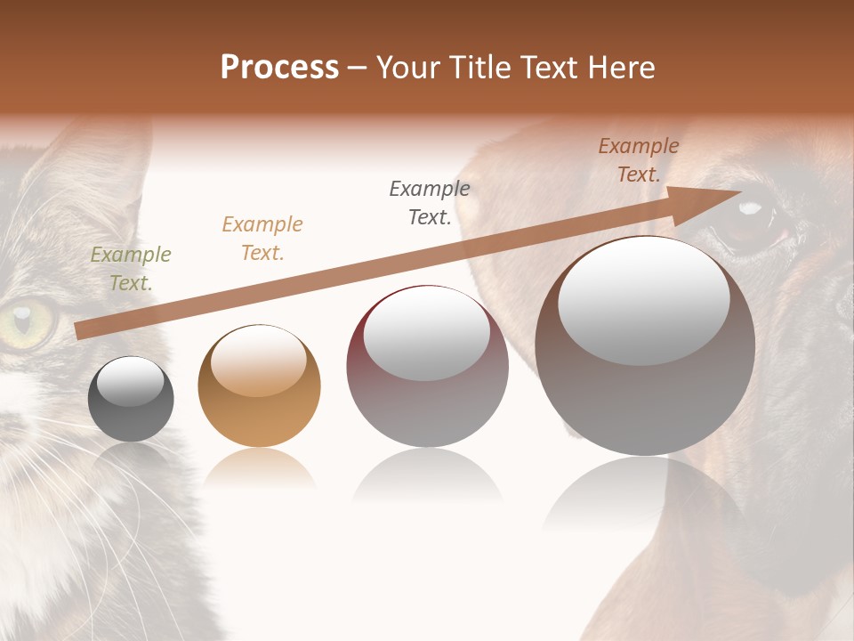 Playful Friend Funny PowerPoint Template