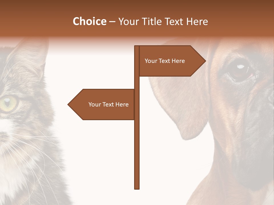 Playful Friend Funny PowerPoint Template