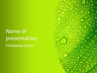 Closeup Vein Green PowerPoint Template