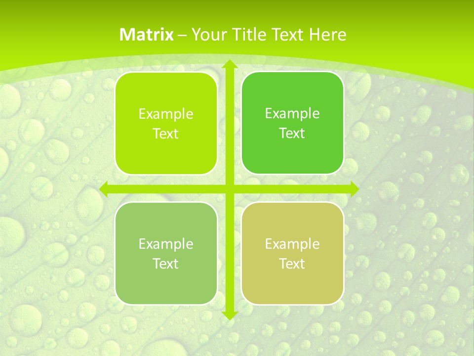 Closeup Vein Green PowerPoint Template