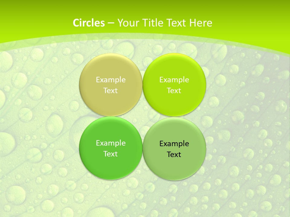 Closeup Vein Green PowerPoint Template