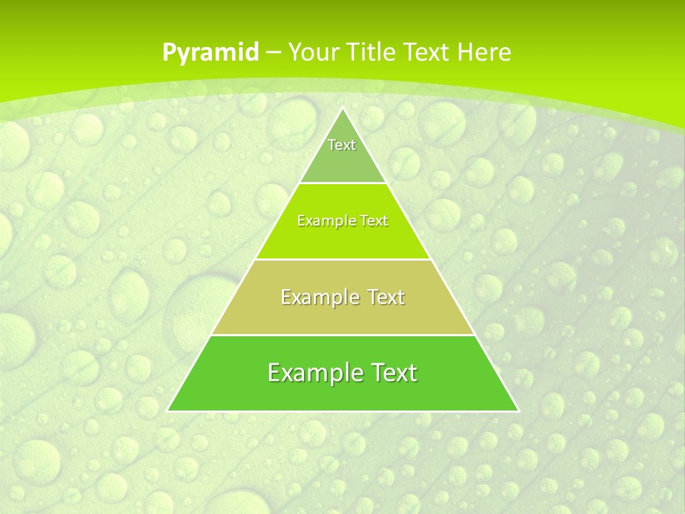 Closeup Vein Green PowerPoint Template
