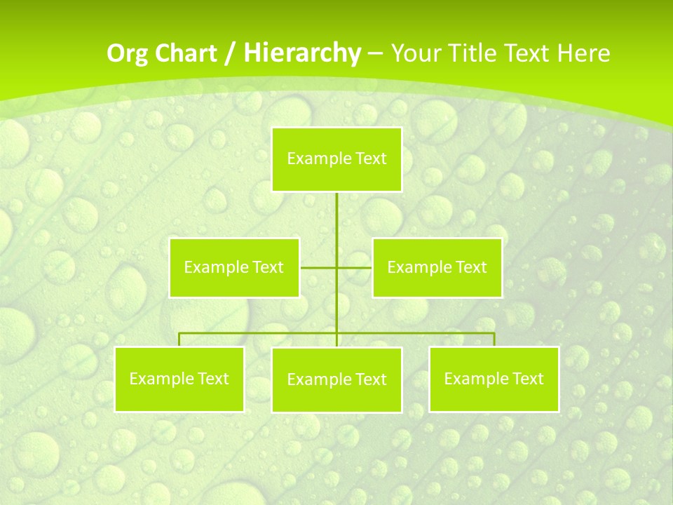 Closeup Vein Green PowerPoint Template