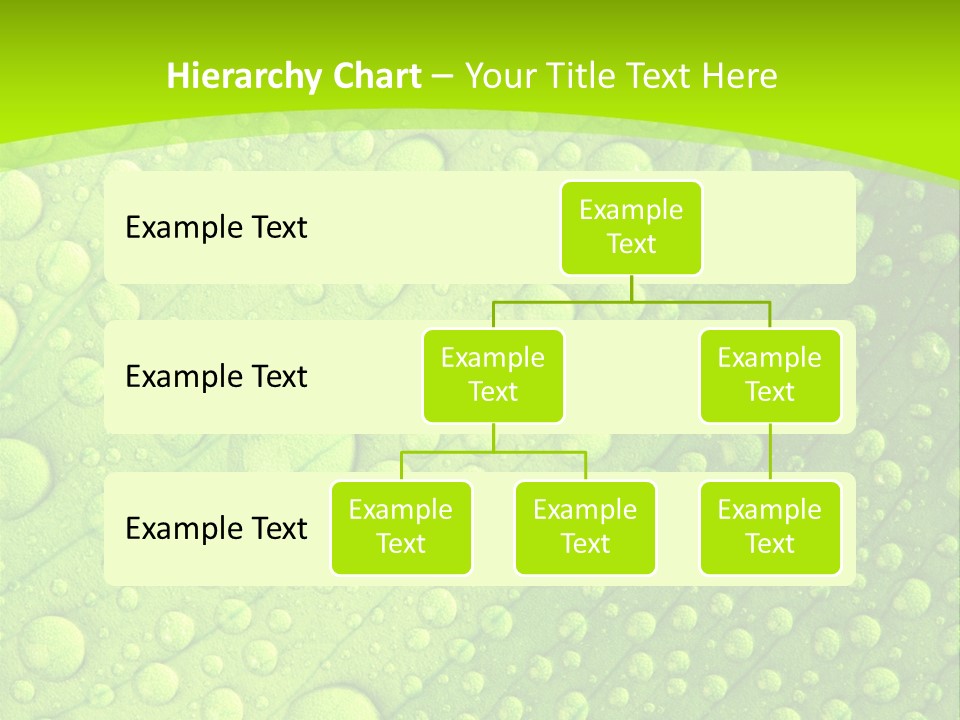 Closeup Vein Green PowerPoint Template