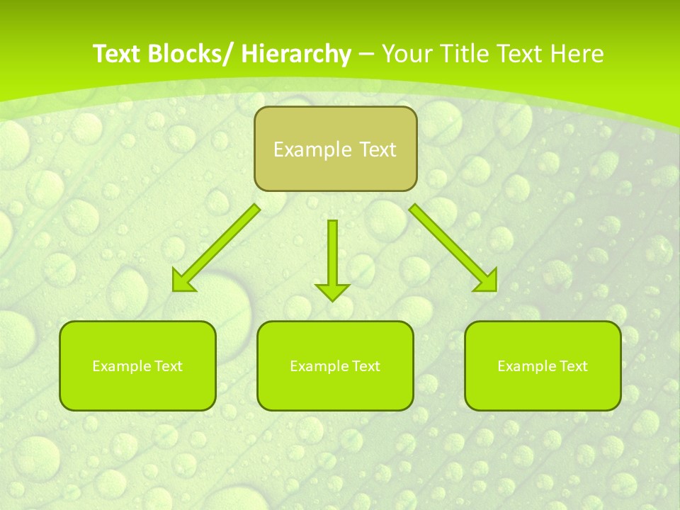 Closeup Vein Green PowerPoint Template