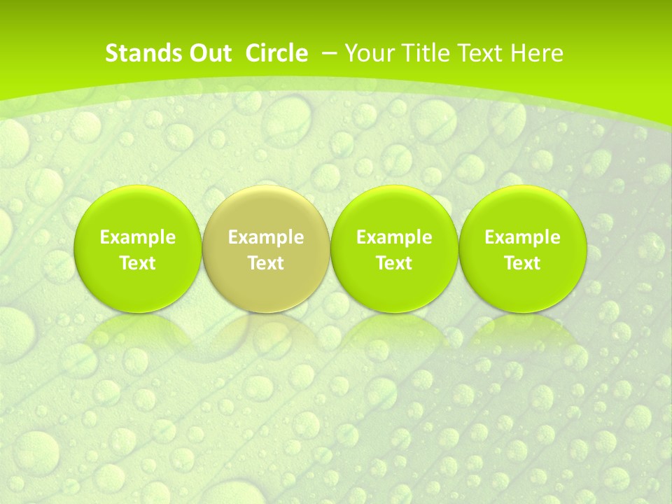 Closeup Vein Green PowerPoint Template