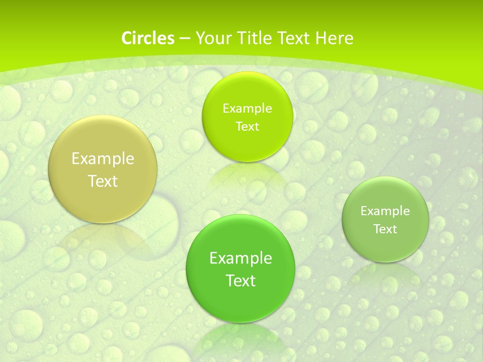 Closeup Vein Green PowerPoint Template