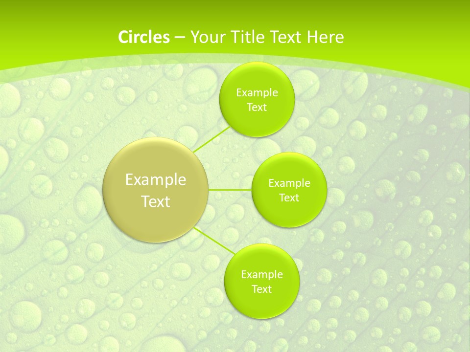 Closeup Vein Green PowerPoint Template