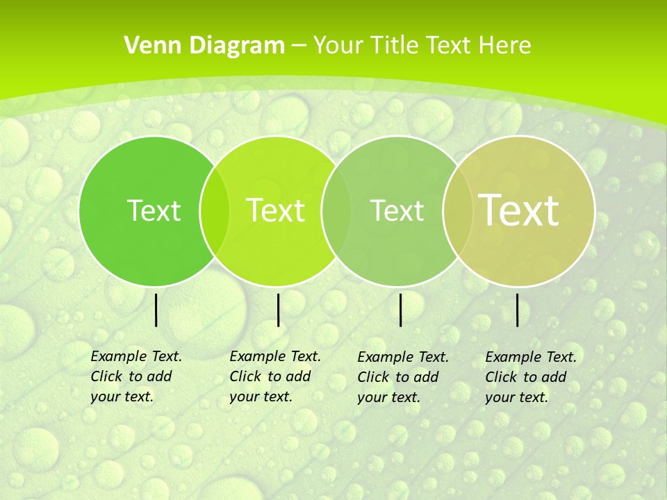 Closeup Vein Green PowerPoint Template