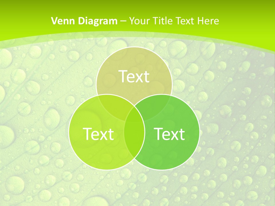 Closeup Vein Green PowerPoint Template