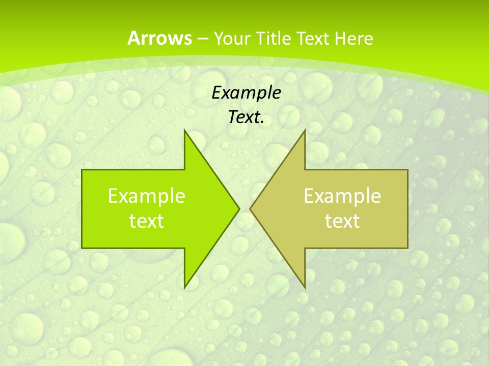 Closeup Vein Green PowerPoint Template