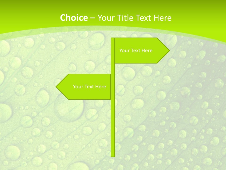 Closeup Vein Green PowerPoint Template