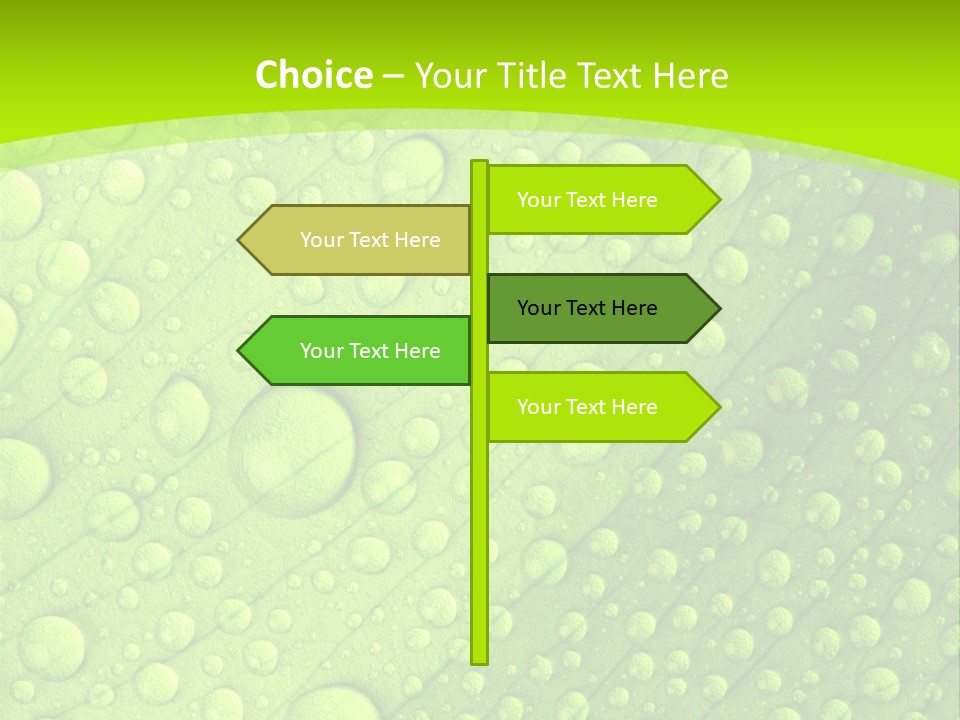 Closeup Vein Green PowerPoint Template