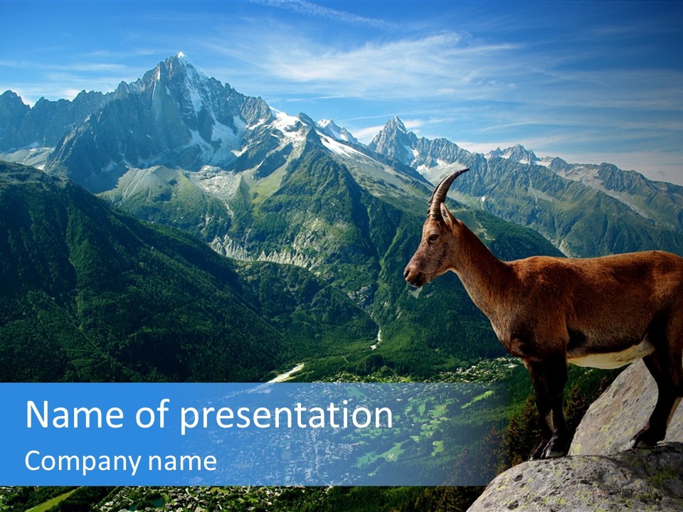 Wild Animal Caprin Bovidae PowerPoint Template