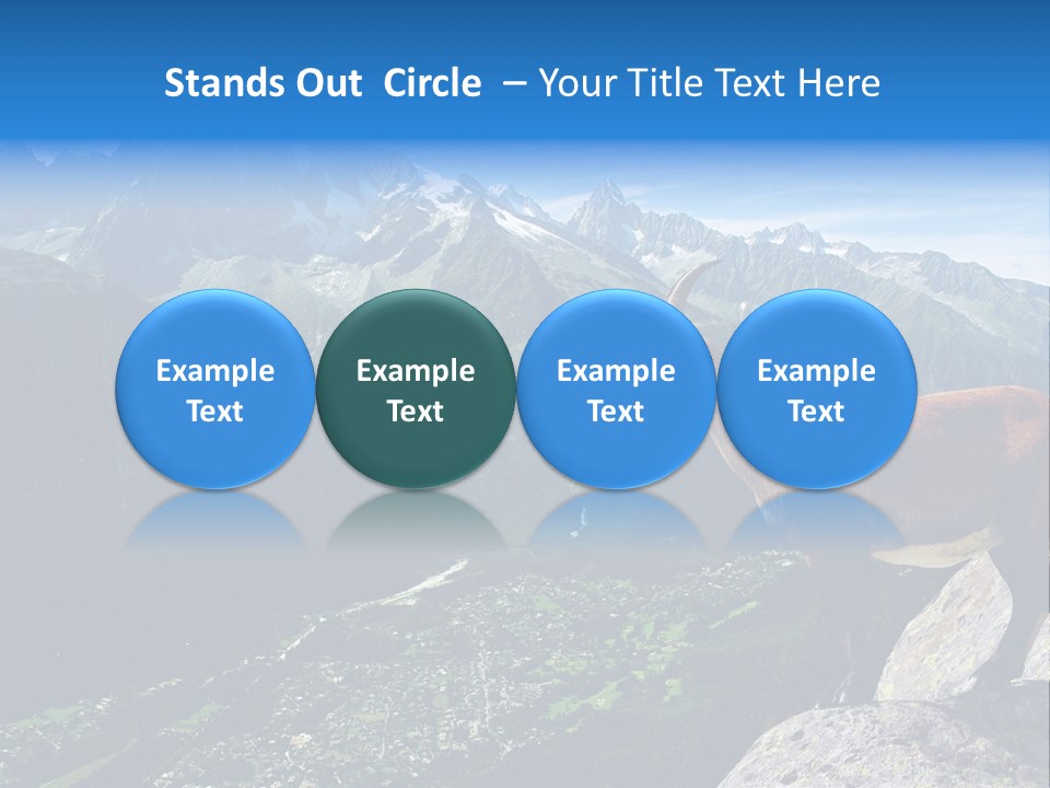 Wild Animal Caprin Bovidae PowerPoint Template