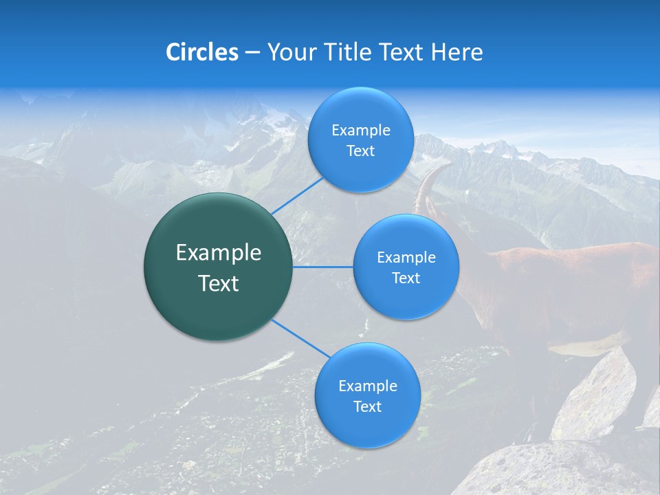 Wild Animal Caprin Bovidae PowerPoint Template